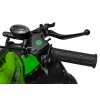 Pojazd Quad Spalinowy RENEGADE HIPERFECT 125CC Zielony