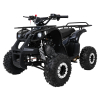 Pojazd Quad Spalinowy WILDPEAK 110cc Czarny