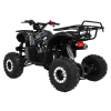 Pojazd Quad Spalinowy WILDPEAK 110cc Czarny