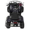 Pojazd Quad Spalinowy WILDPEAK 110cc Czarny
